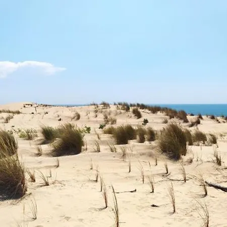 Maison Mitoyenne à La Palmyre, 5 Personnes - Fr-1-705-29 La Palmyre