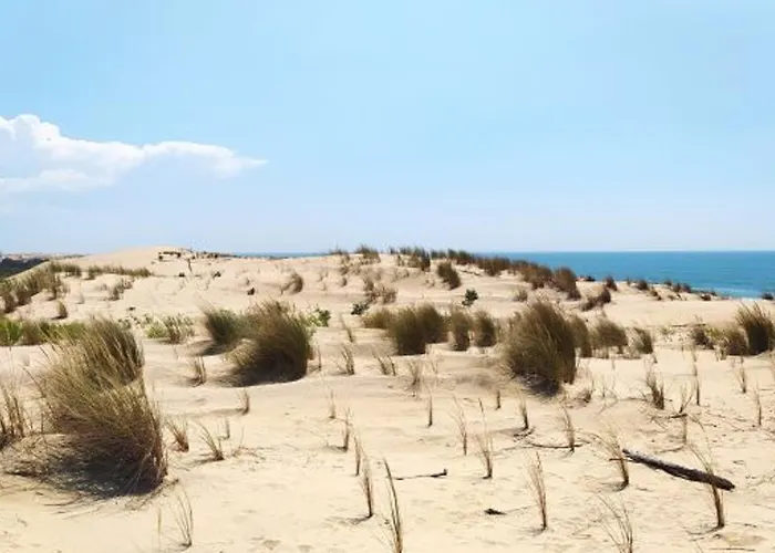 Maison Mitoyenne A La Palmyre, 5 Personnes - Fr-1-705-29 Ла-Пальмир